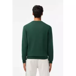 PULL À COL V EN COTON BIOLOGIQUE UNI