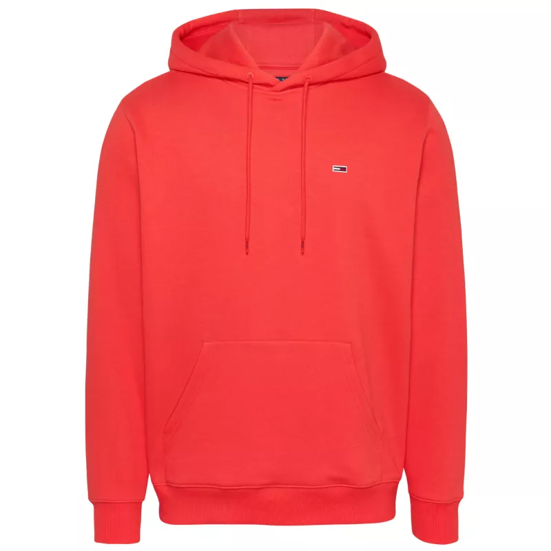 Sweat à capuche REG S FLAG