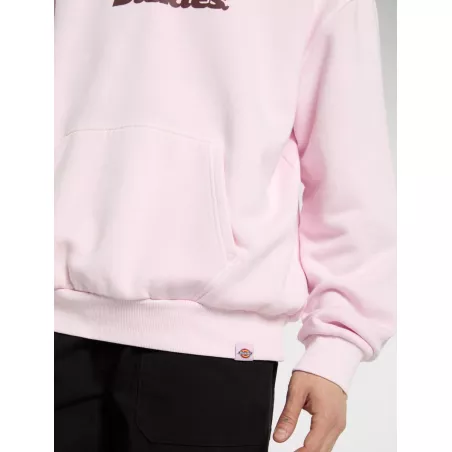 Sweat à capuche Slayden