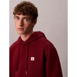 Sweat à capuche en tissu éponge de coton avec insigne