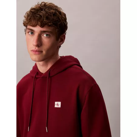 Sweat à capuche en tissu éponge de coton avec insigne