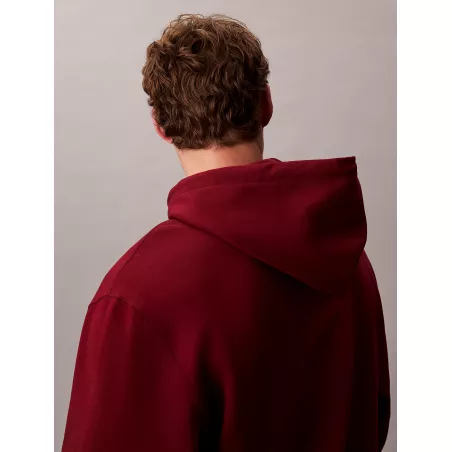 Sweat à capuche en tissu éponge de coton avec insigne