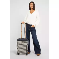 Trolley izzy logo 4g